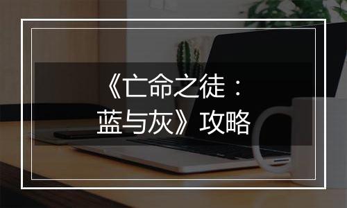 《亡命之徒：蓝与灰》攻略