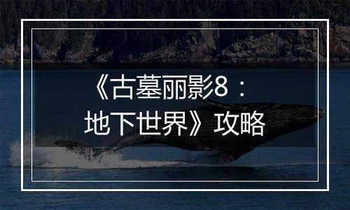 《古墓丽影8：地下世界》攻略