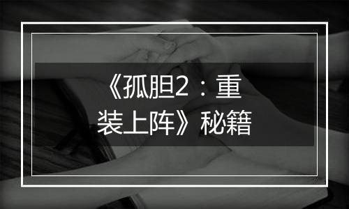 《孤胆2：重装上阵》秘籍