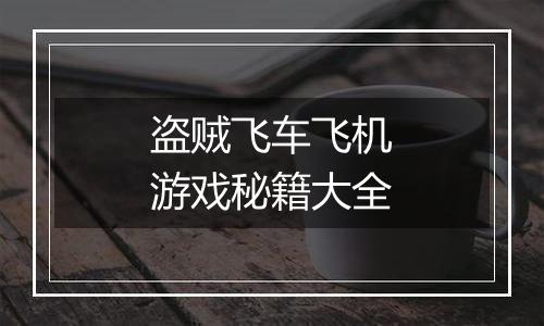 盗贼飞车飞机游戏秘籍大全