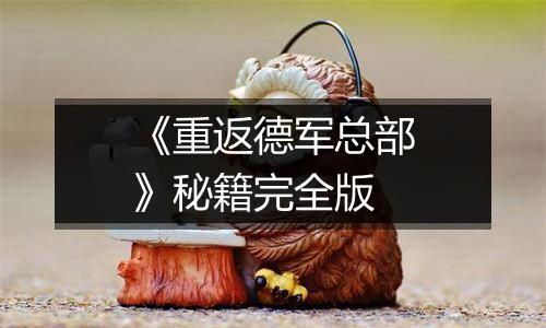 《重返德军总部》秘籍完全版