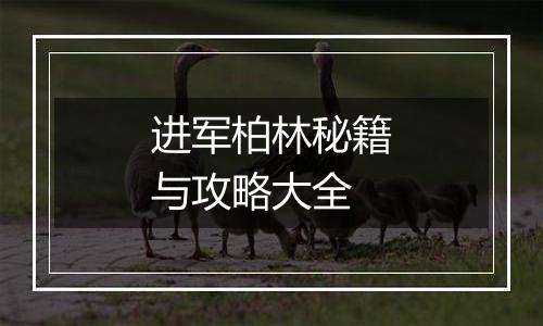 进军柏林秘籍与攻略大全