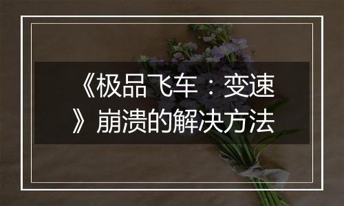 《极品飞车：变速》崩溃的解决方法