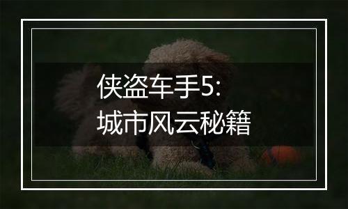 侠盗车手5:城市风云秘籍