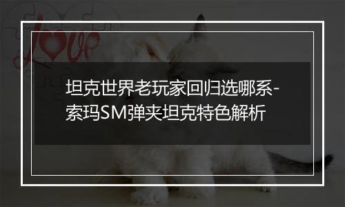 坦克世界老玩家回归选哪系-索玛SM弹夹坦克特色解析