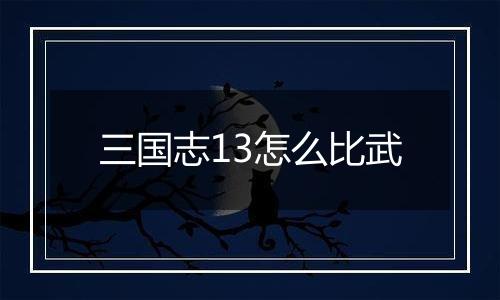 三国志13怎么比武