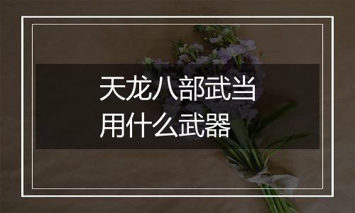 天龙八部武当用什么武器