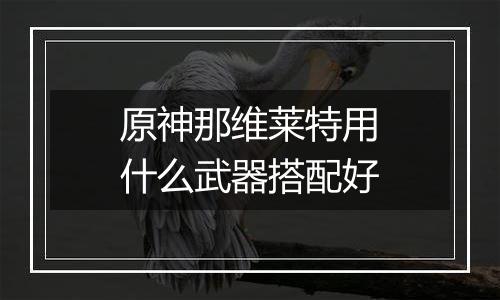 原神那维莱特用什么武器搭配好