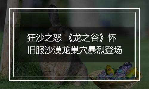 狂沙之怒 《龙之谷》怀旧服沙漠龙巢穴暴烈登场