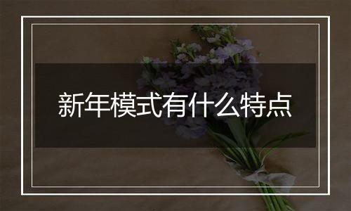 新年模式有什么特点