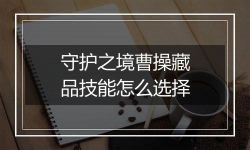 守护之境曹操藏品技能怎么选择