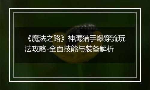 《魔法之路》神鹰猎手爆穿流玩法攻略-全面技能与装备解析