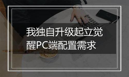 我独自升级起立觉醒PC端配置需求