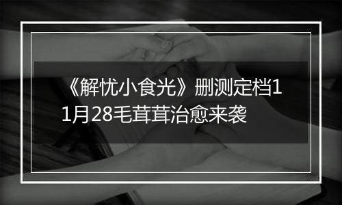 《解忧小食光》删测定档11月28毛茸茸治愈来袭
