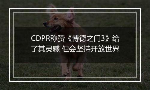 CDPR称赞《博德之门3》给了其灵感 但会坚持开放世界