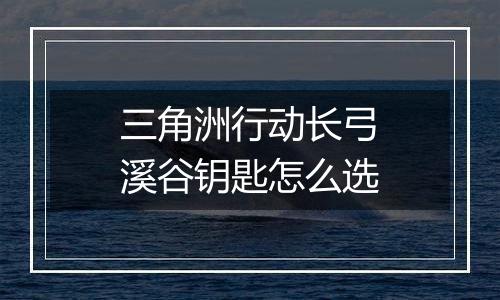 三角洲行动长弓溪谷钥匙怎么选