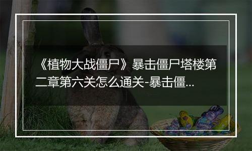 《植物大战僵尸》暴击僵尸塔楼第二章第六关怎么通关-暴击僵尸塔楼第二章第六关的通关方法