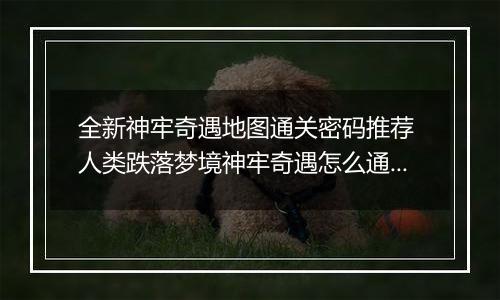 全新神牢奇遇地图通关密码推荐 人类跌落梦境神牢奇遇怎么通关