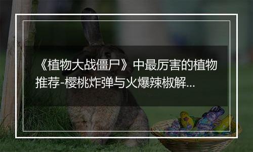 《植物大战僵尸》中最厉害的植物推荐-樱桃炸弹与火爆辣椒解析