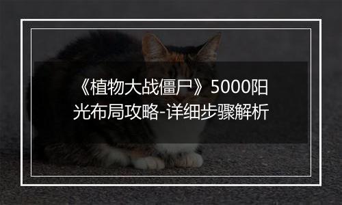 《植物大战僵尸》5000阳光布局攻略-详细步骤解析