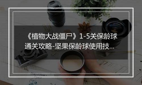 《植物大战僵尸》1-5关保龄球通关攻略-坚果保龄球使用技巧