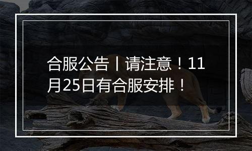 合服公告丨请注意！11月25日有合服安排！
