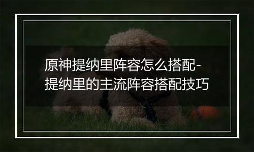 原神提纳里阵容怎么搭配-提纳里的主流阵容搭配技巧