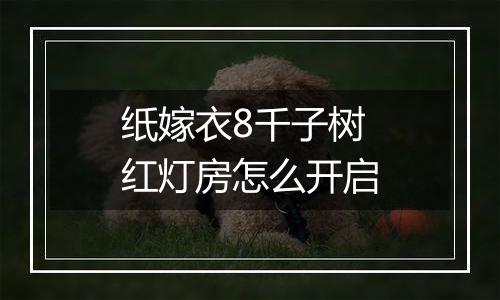 纸嫁衣8千子树红灯房怎么开启