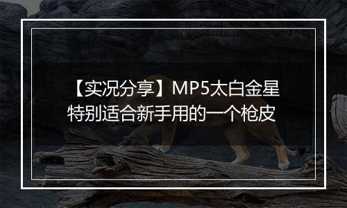 【实况分享】MP5太白金星特别适合新手用的一个枪皮