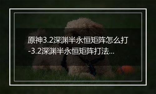 原神3.2深渊半永恒矩阵怎么打-3.2深渊半永恒矩阵打法技巧