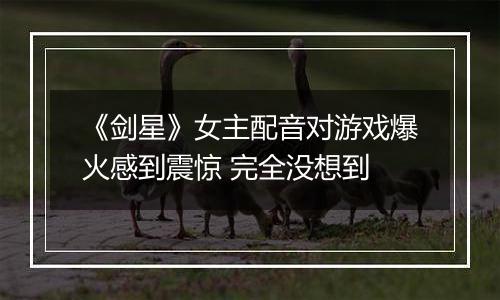 《剑星》女主配音对游戏爆火感到震惊 完全没想到