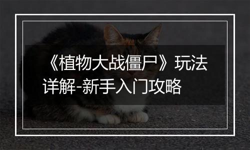 《植物大战僵尸》玩法详解-新手入门攻略