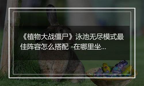 《植物大战僵尸》泳池无尽模式最佳阵容怎么搭配 -在哪里坐标