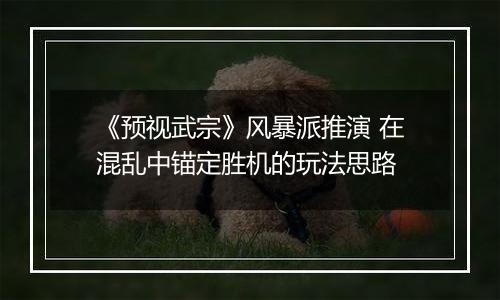 《预视武宗》风暴派推演 在混乱中锚定胜机的玩法思路