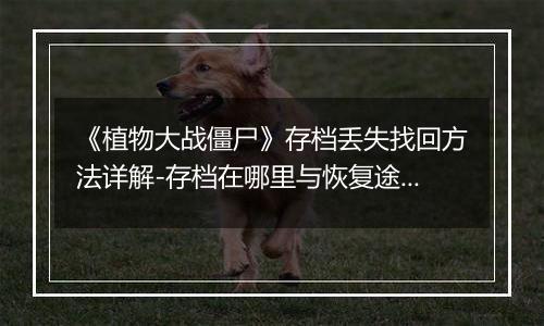《植物大战僵尸》存档丢失找回方法详解-存档在哪里与恢复途径
