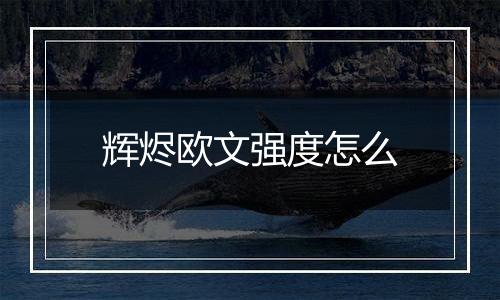 辉烬欧文强度怎么
