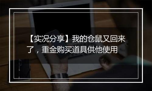 【实况分享】我的仓鼠又回来了，重金购买道具供他使用