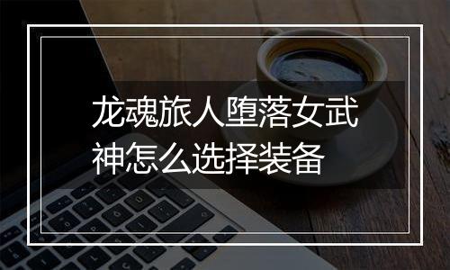 龙魂旅人堕落女武神怎么选择装备
