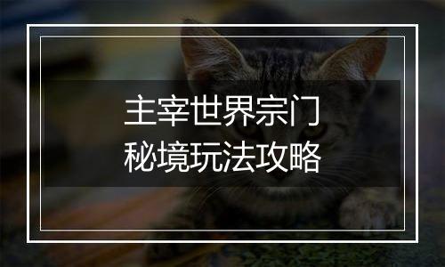 主宰世界宗门秘境玩法攻略