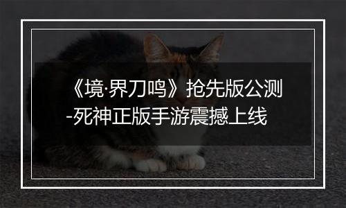 《境·界刀鸣》抢先版公测-死神正版手游震撼上线