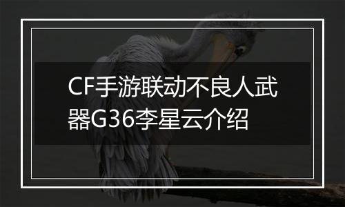 CF手游联动不良人武器G36李星云介绍