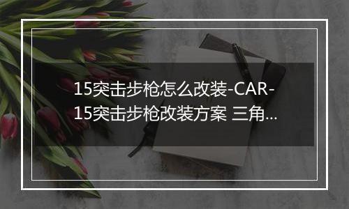 15突击步枪怎么改装-CAR-15突击步枪改装方案 三角洲行动CAR