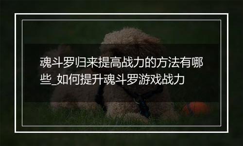魂斗罗归来提高战力的方法有哪些_如何提升魂斗罗游戏战力