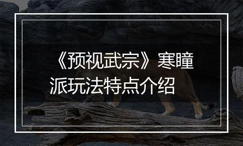 《预视武宗》寒瞳派玩法特点介绍