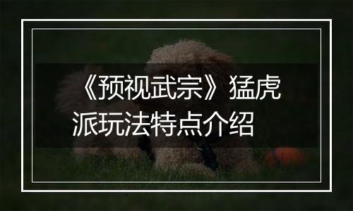 《预视武宗》猛虎派玩法特点介绍