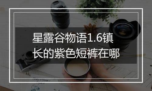 星露谷物语1.6镇长的紫色短裤在哪