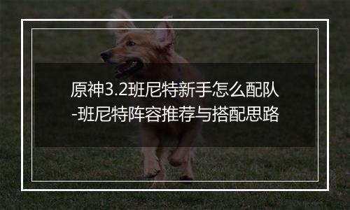 原神3.2班尼特新手怎么配队-班尼特阵容推荐与搭配思路