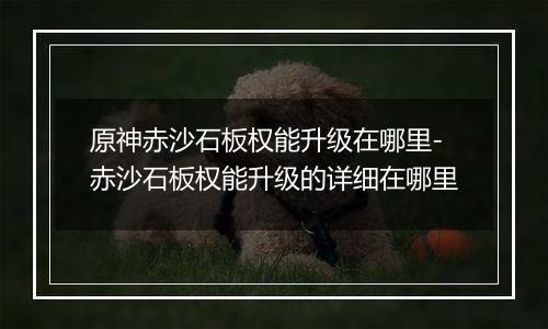 原神赤沙石板权能升级在哪里-赤沙石板权能升级的详细在哪里