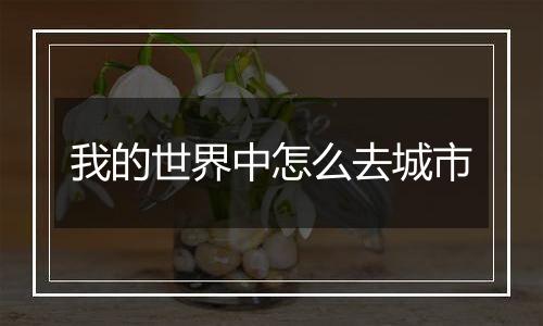 我的世界中怎么去城市