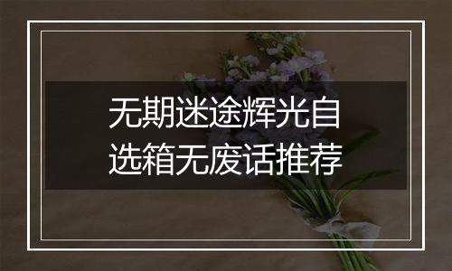 无期迷途辉光自选箱无废话推荐